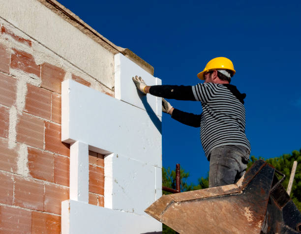 Best Insulation for Specific Applications in Dogtown, CA