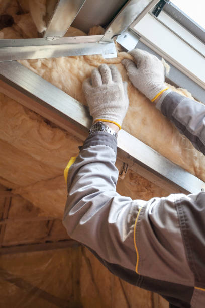 Best Geographic-Specific Insulation Services in Dogtown, CA